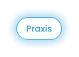 Praxis